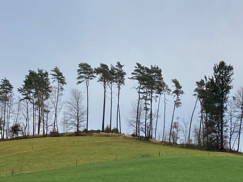 Stubenberg Tour 8 - Die klopfenden Domherren