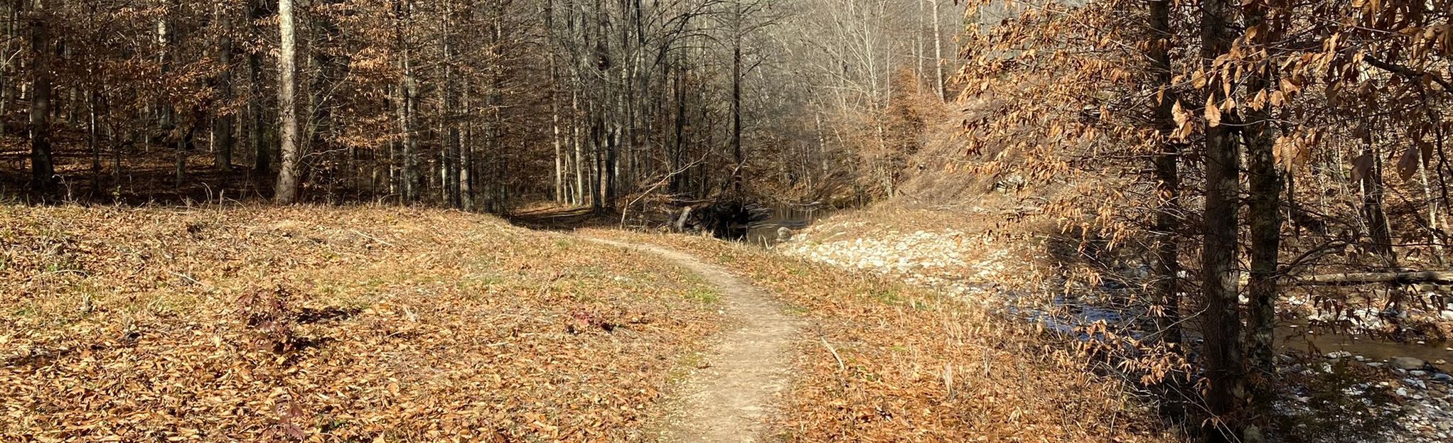 Buffalo River Trail From Kyles Landing Campground | Map, Guide ...