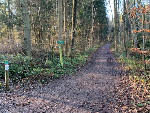 Permanente CTF des ESV Fortuna Celle: Durchs Schmarloh