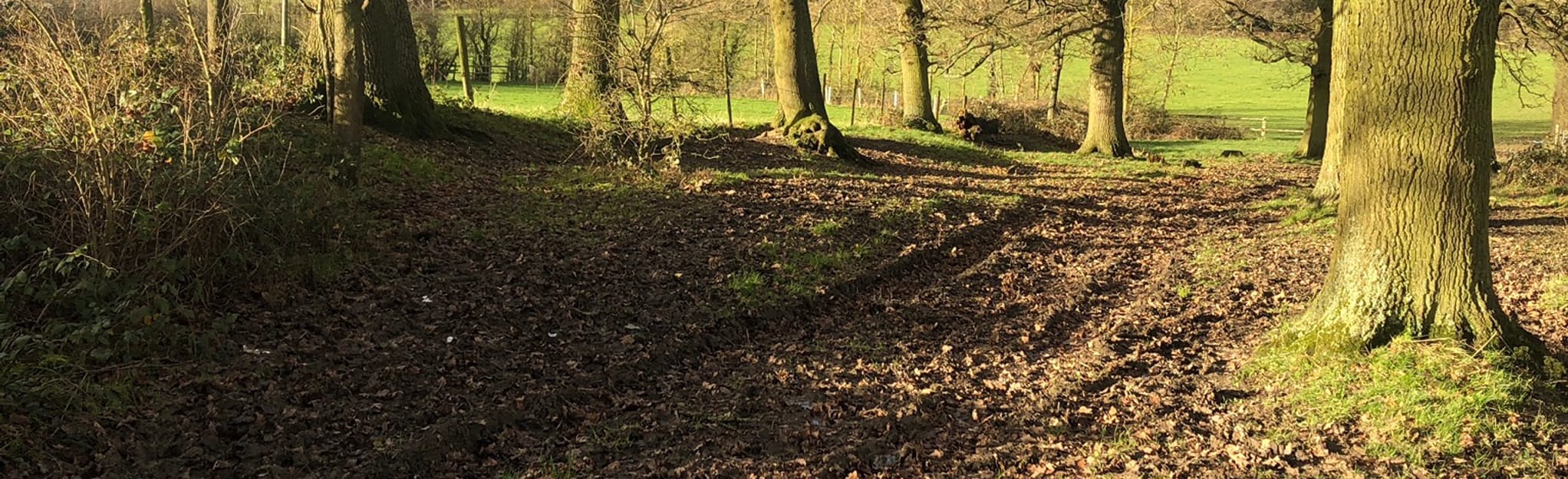 Crazies Hill Circular, Oxfordshire, England 20 Reviews, Map AllTrails