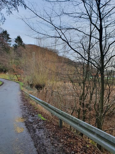 Von Nierenhof um den Hölterberg