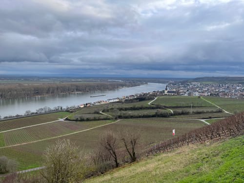 Nierstein - Nackenheim Roter Hang