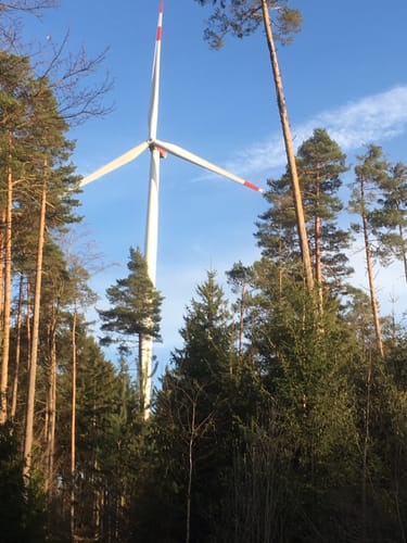 Rhön Super Cup e.V. in Dammersbach: 11,0 km-Strecke