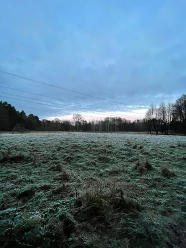 Um den Herrensee