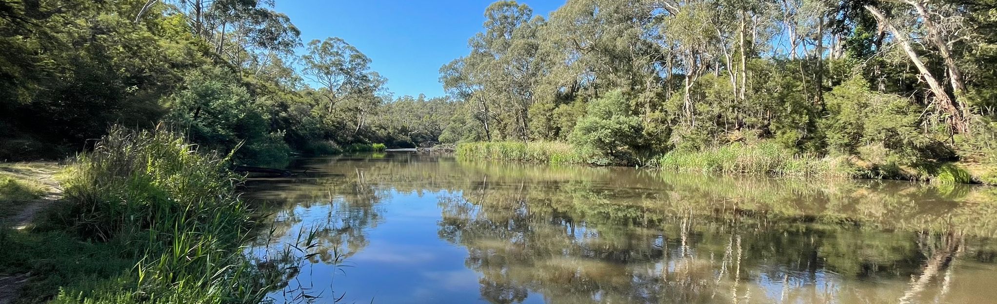 Blue Tongue Bend Walk, Victoria, Australia - 117 Reviews, Map | AllTrails