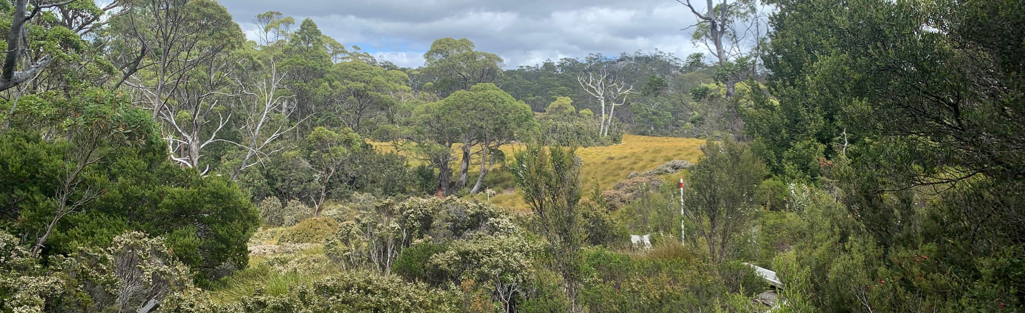 Dove Canyon Circuit, Tasmania, Australia 112 Reviews, Map AllTrails