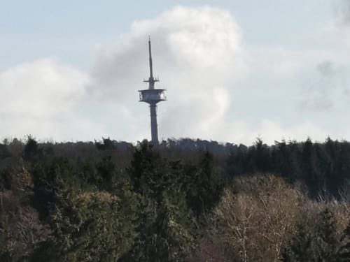 Das grüne Eichenblatt: Langenhain-Ziegenberger Waldweg