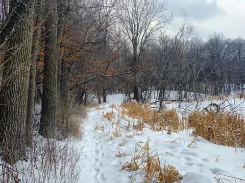 10 Best Trails and Hikes in Edina