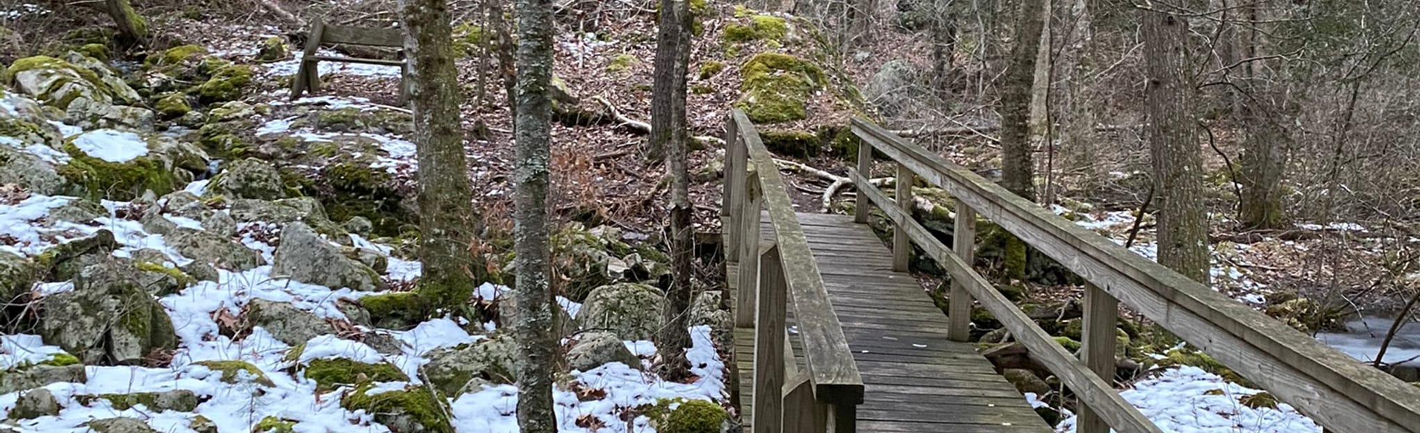 AllTrails Srg Crossover Trail 1 Reviews, Map Massachusetts