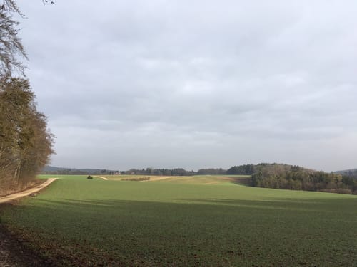 Von Reichenstein entlang dem Wolfstal und dem Lautertal