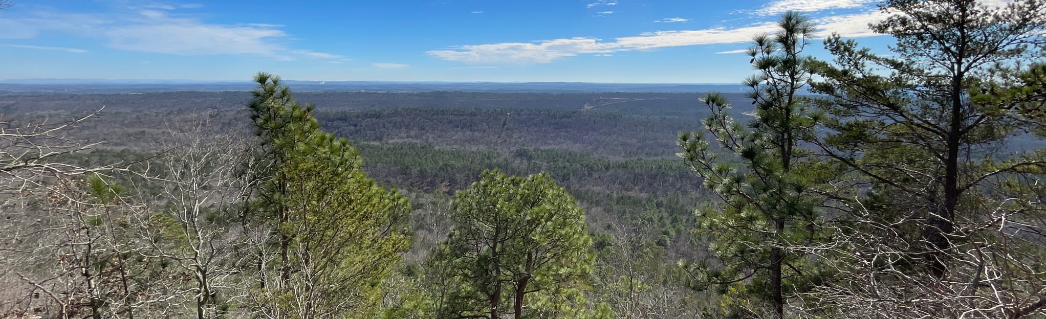 King's Chair Overlook via Blue Trail Alabama AllTrails
