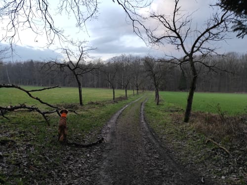 Baggerloch Flaesheim über Dachsberg