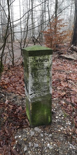 Olganitz durch die Dahlener Heide nach Belgern