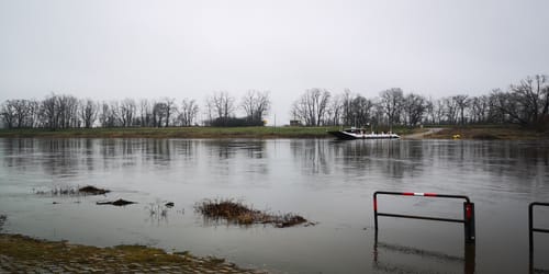 Olganitz durch die Dahlener Heide nach Belgern