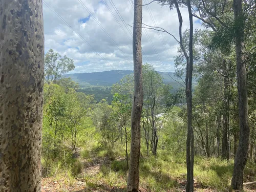 10 Best Walking Trails in Nerang National Park AllTrails