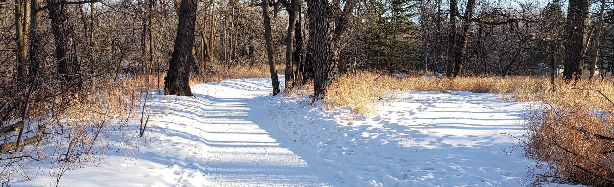 Carman Community Trail 14 Reviews, Map Manitoba, Canada AllTrails