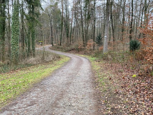 Malmsheim - Bühl - Großer Wald