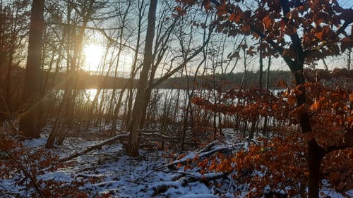 Um den Paschensee