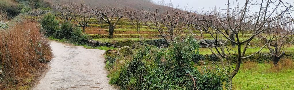 Cerro de las Uvas - Los Pilones - Cuerda de los Lobos: 137 fotos - Cáceres,  Spain | AllTrails