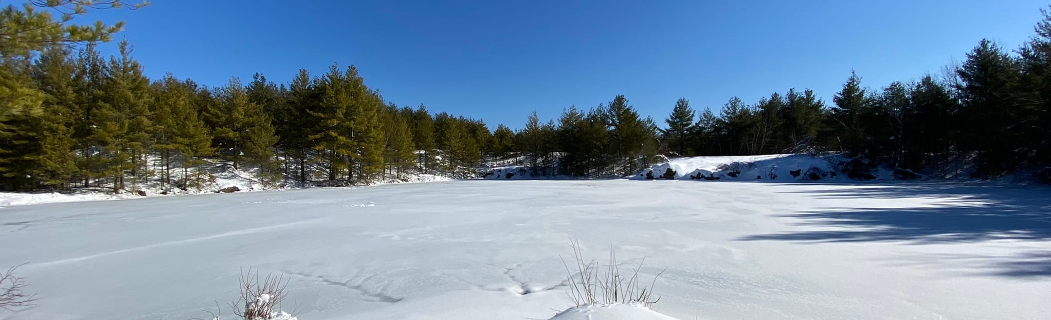 Sharpners Pond, Massachusetts 76 Reviews, Map AllTrails