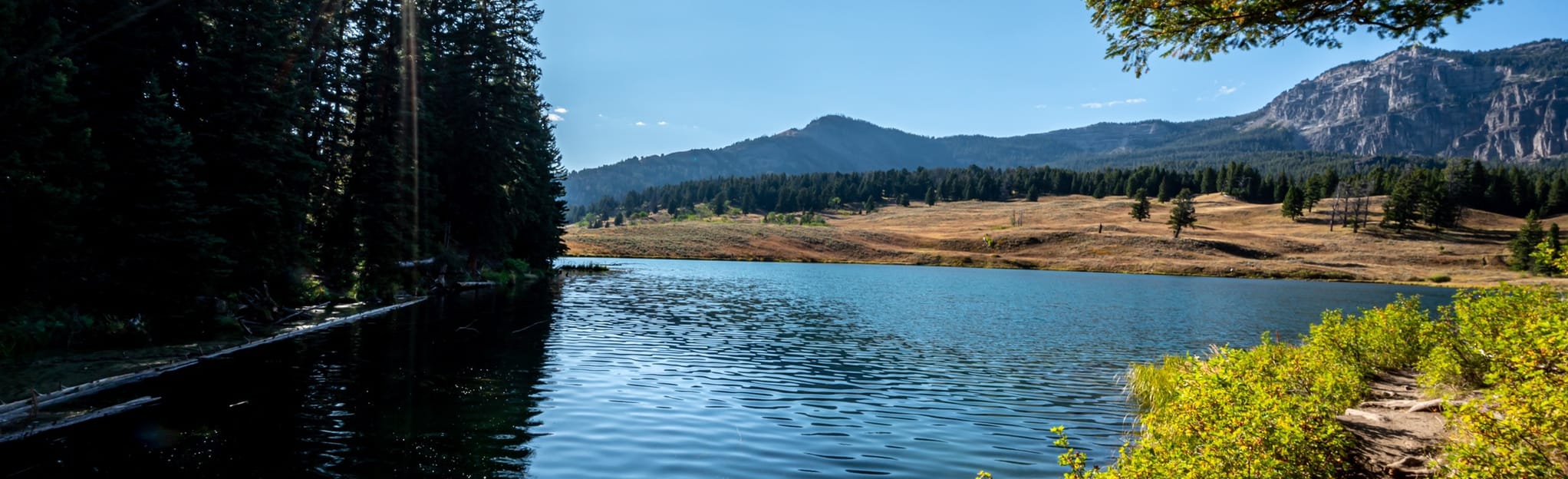 Trout Lake Loop, Montana 498 Reviews, Map AllTrails