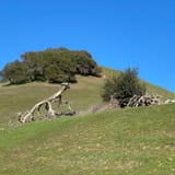 Meyer's Ranch and High Ridge Loop, California - 292 Reviews, Map ...