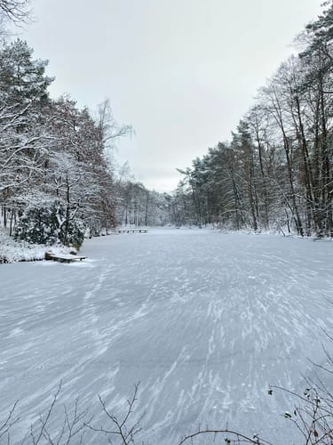 In die Weseler Heide