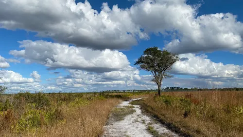 myakka river state park bike trails