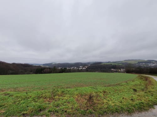 Von Saal auf den Lauberberg