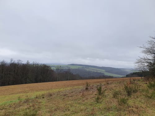 Von Saal auf den Lauberberg