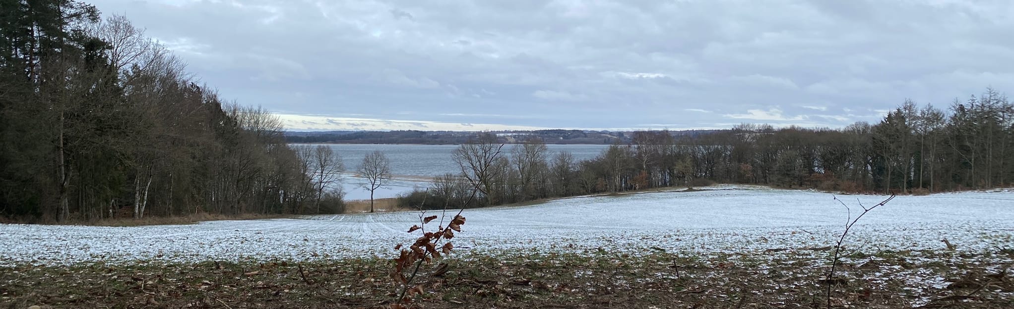 Dørup Skov - Mossø: 11 Fotos - Region Midtjylland, Dänemark | AllTrails