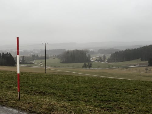 Waldcafe nach Hochemmingen