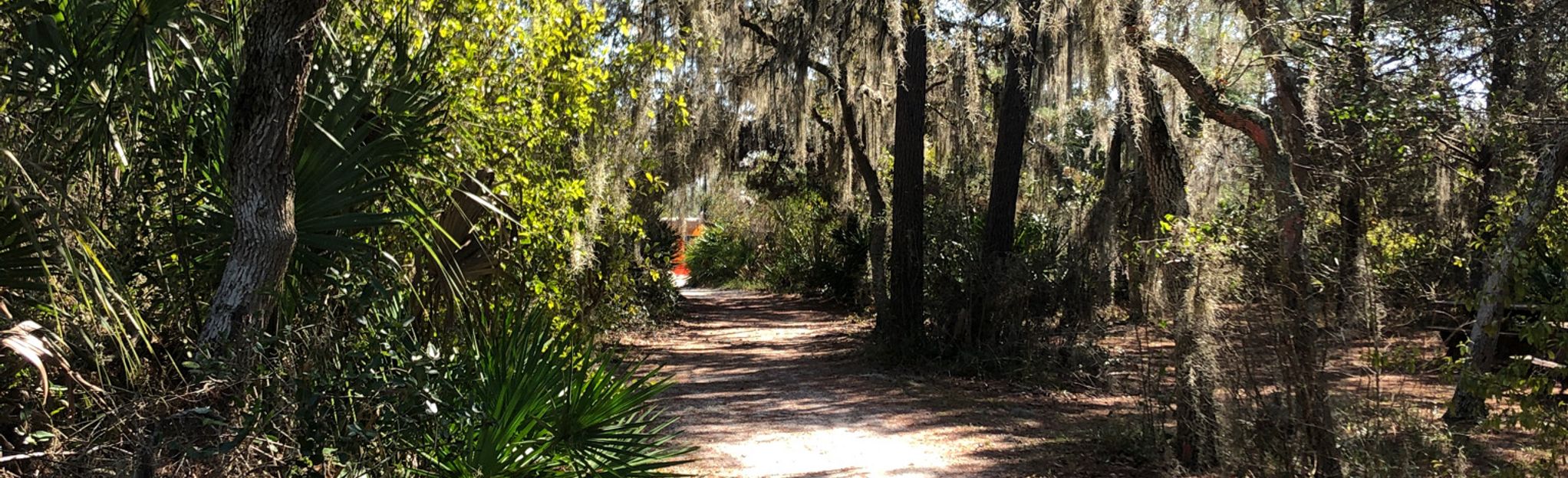 Sandpine Trail, Florida - 132 Reviews, Map 