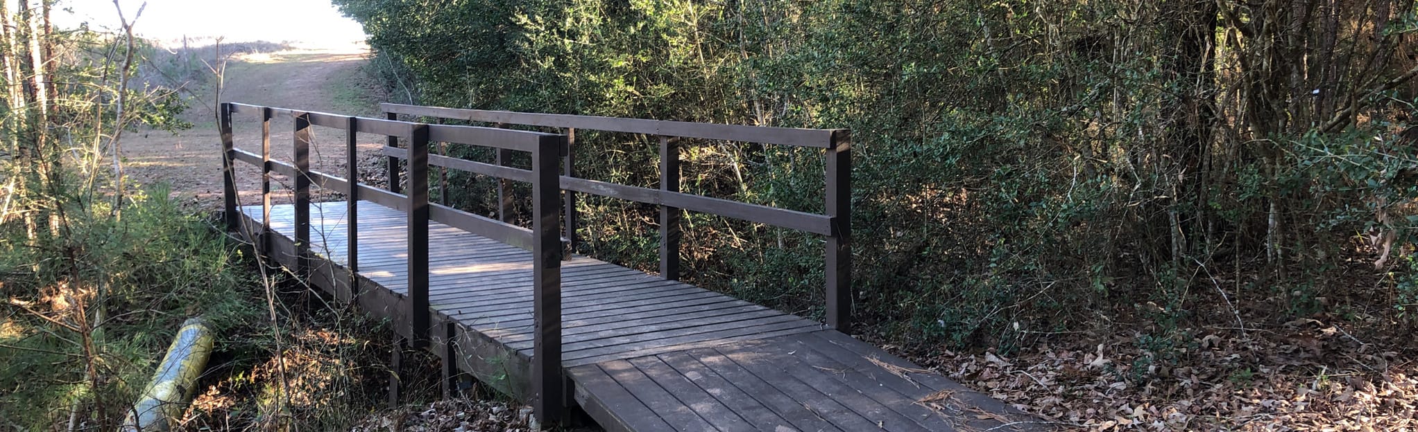 The Wilderness Emmaus Loop 11 Reviews, Map Texas AllTrails