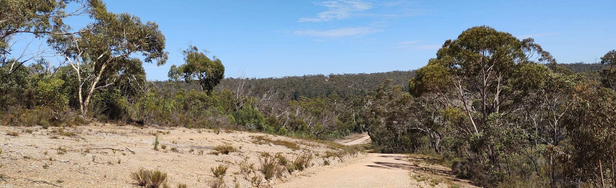 Kersbrook Forest Reserve Big Loop, South Australia, Australia 8