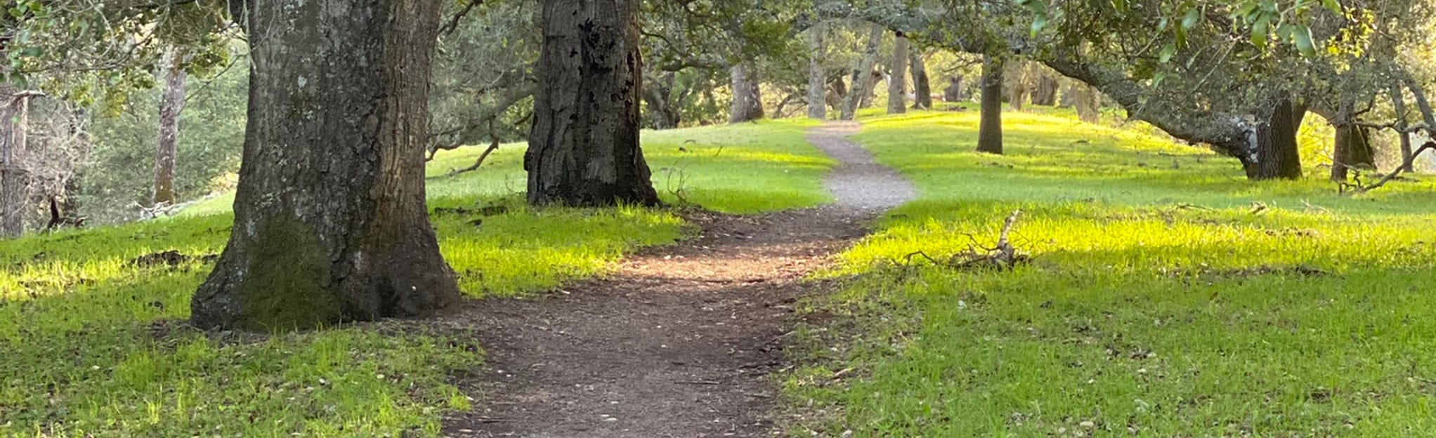 Indian Joe Creek Trail California 105 Reviews Map AllTrails