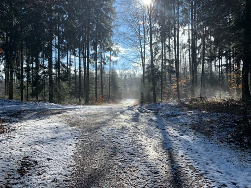 Petershausen nach Jetzendorf