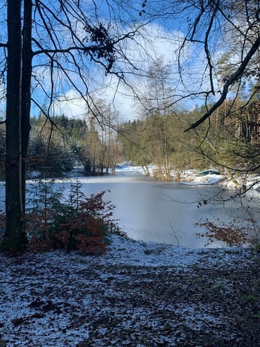 Petershausen nach Jetzendorf