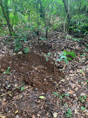 The Best Trails in Ôlho d'Água, Estado de Goiás (Brazil)