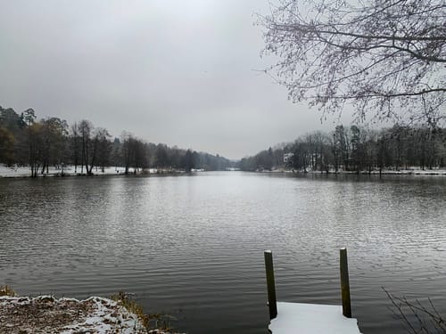Brückweiher - Gustavsburg
