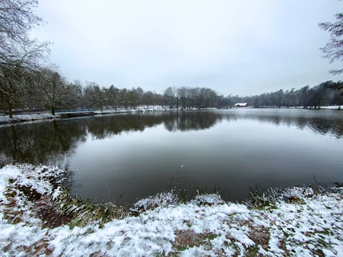 Brückweiher - Gustavsburg