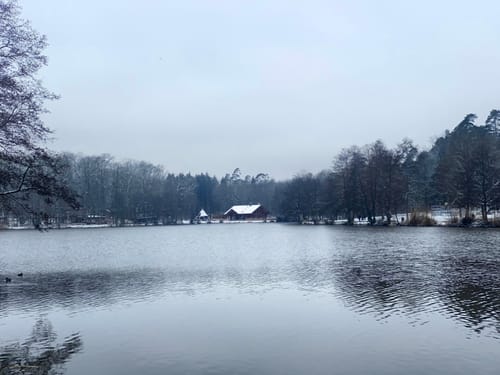 Brückweiher - Gustavsburg