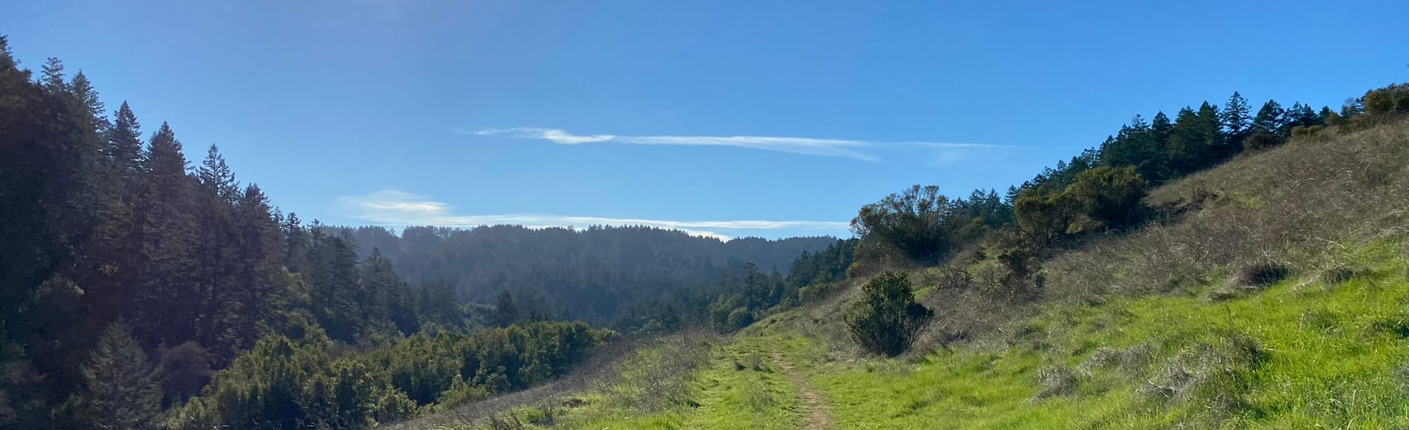 Devil's Gulch Road, California 83 Reviews, Map AllTrails