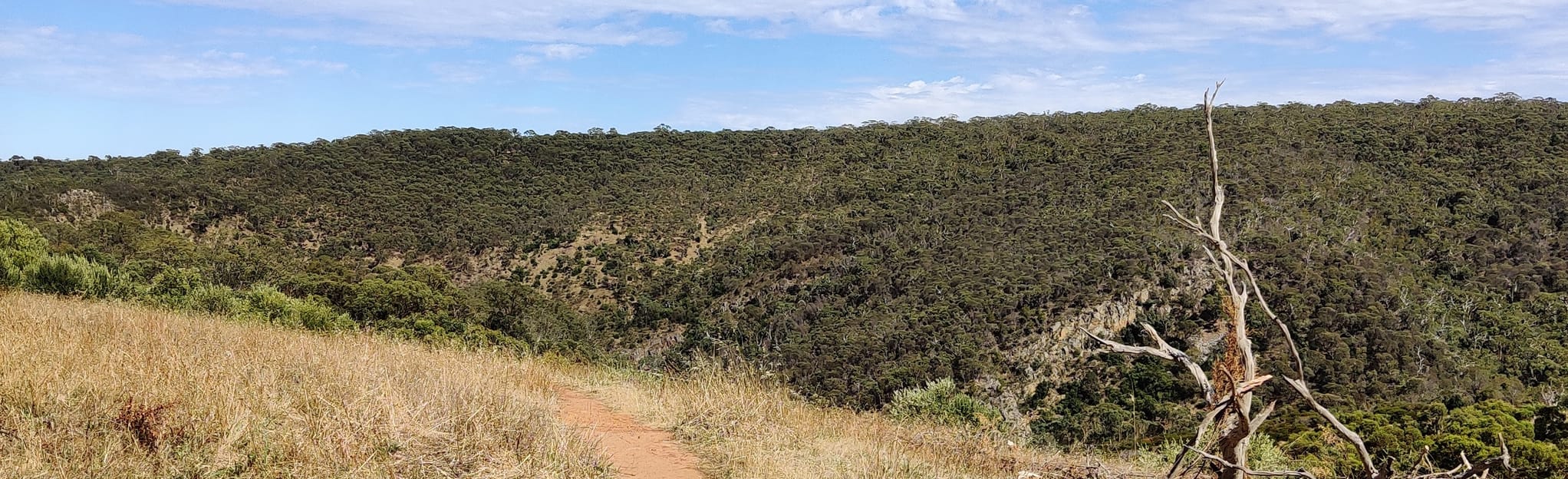 Onkaparinga River Hike, South Australia, Australia 74 Reviews, Map