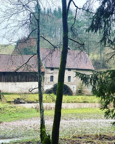 Kneispermühle - Faustermühle - Schloßwald