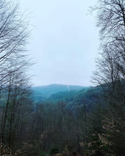 Münchweiler Wildsaufelsen