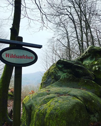 Münchweiler Wildsaufelsen