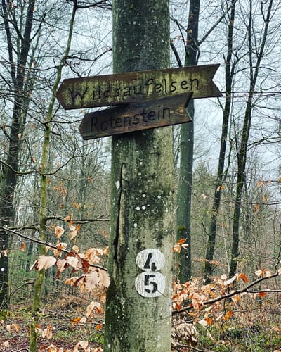 Münchweiler Wildsaufelsen