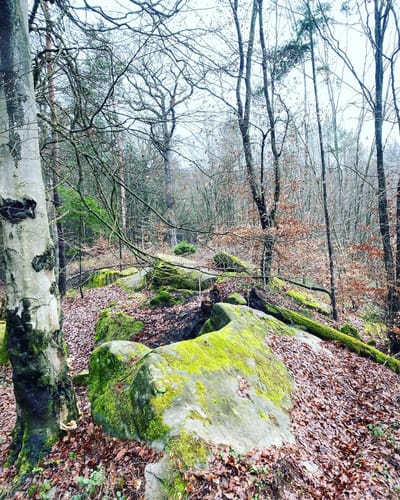 Münchweiler Wildsaufelsen