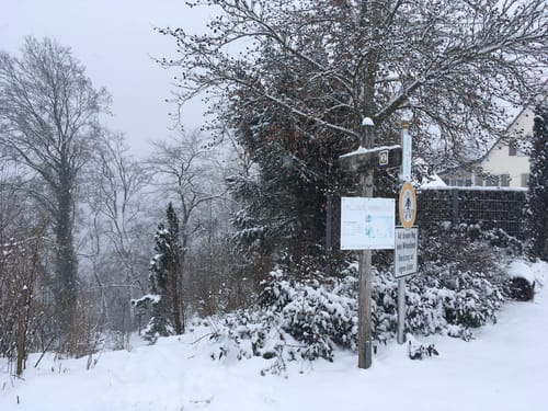 Zur Burg Reichenstein entlang dem Wolfstal